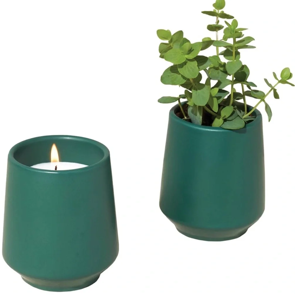 Rooted Thyme Candle & Grow Kit ~Light thyme scent w/ thyme seeds in ceramic jar